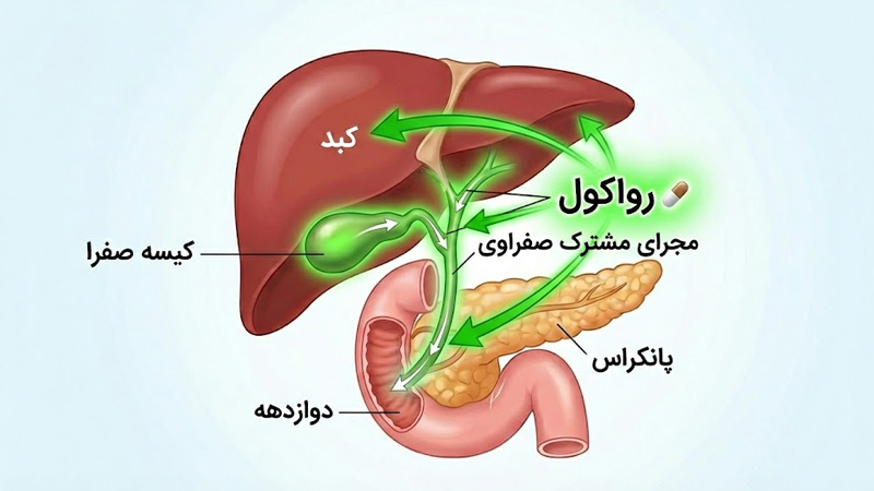 موارد مصرف رواکل چیست و بر چه جاهایی تاثیر دارد؟